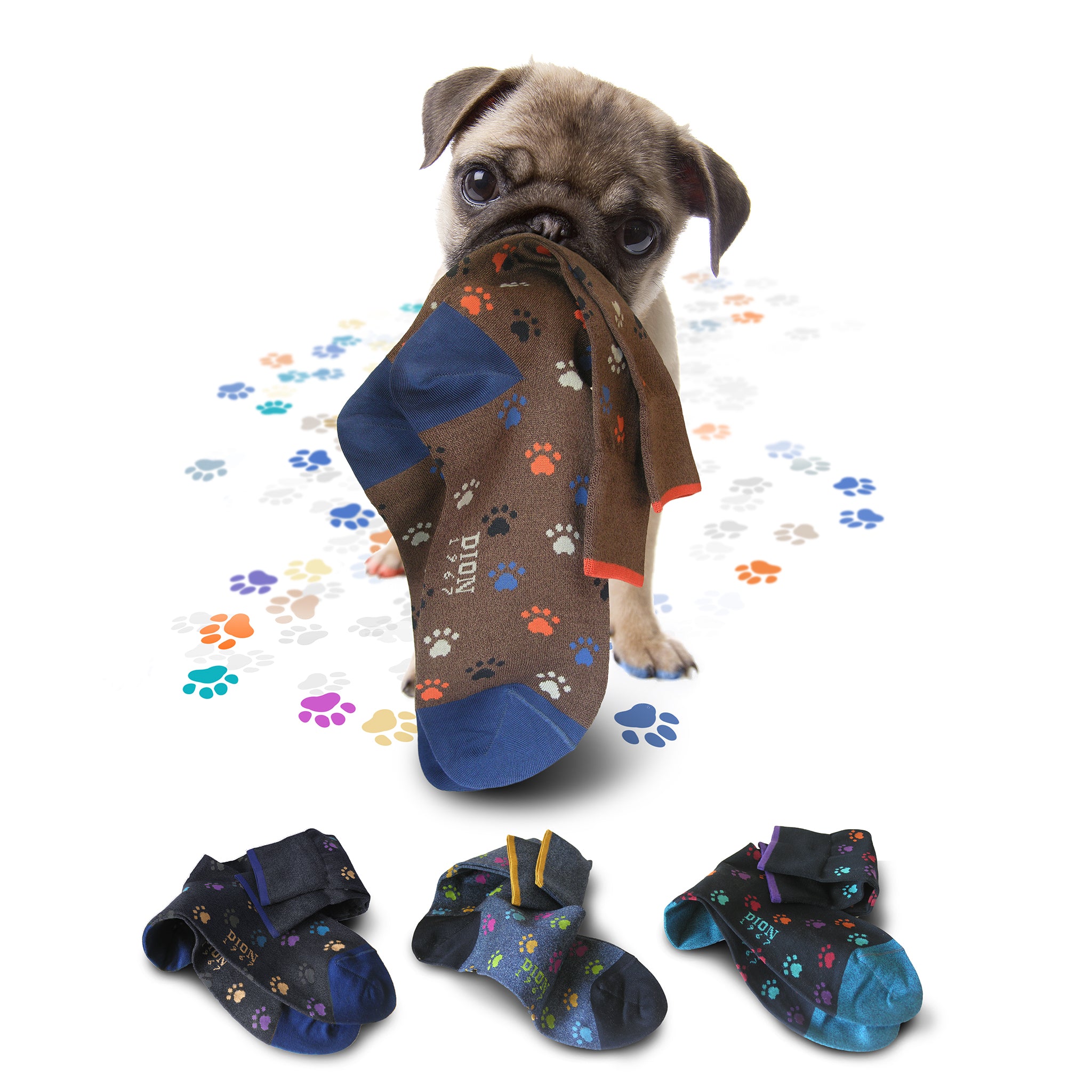 Fetching Socks for Long Walks...